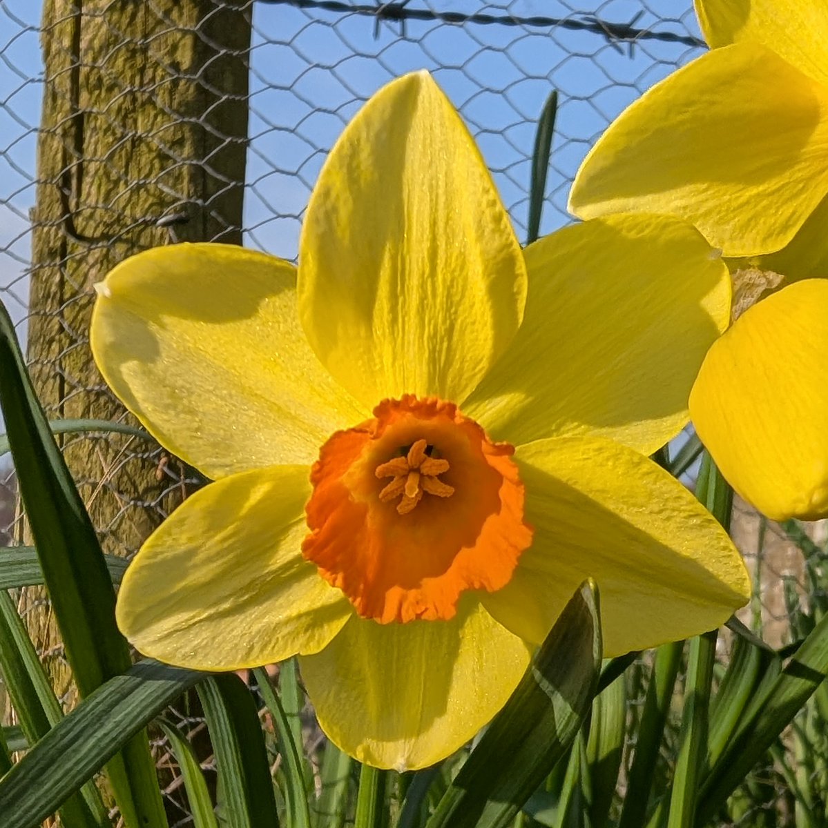 Paul Crabtree 🇬🇧 tweet media