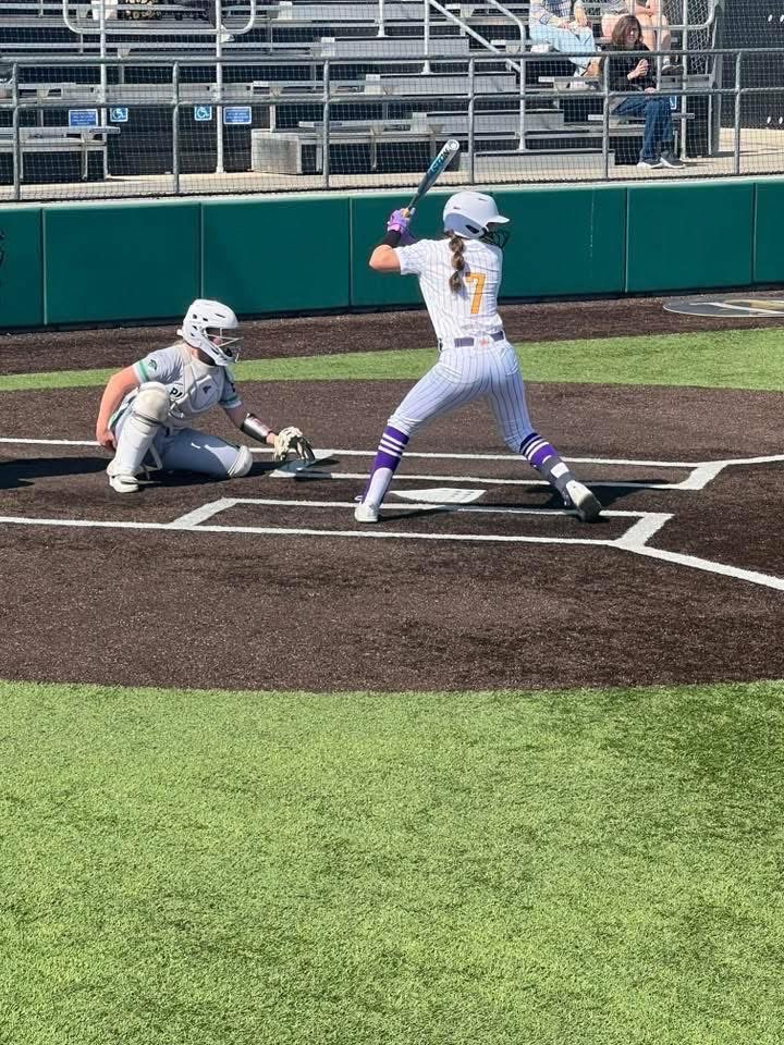 EXCEL ELITE 🥎 tweet media