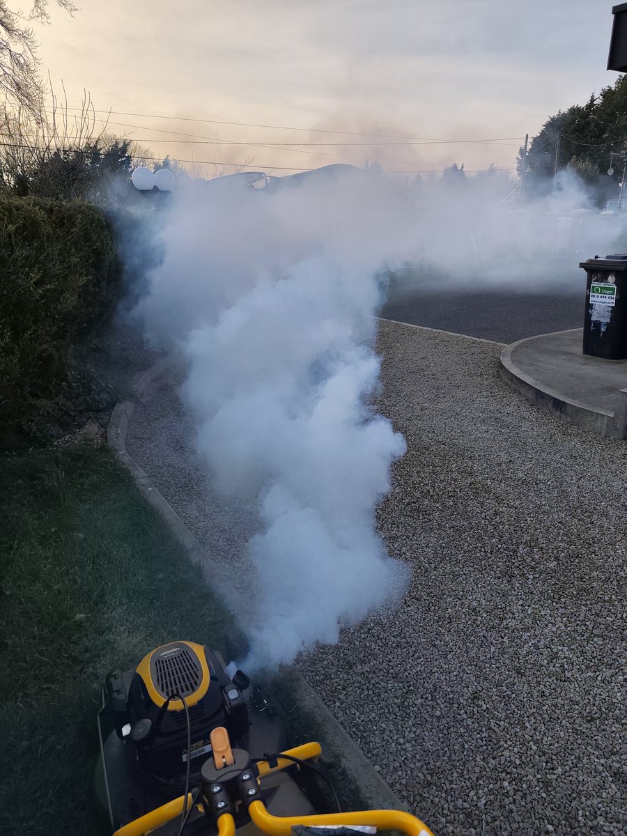 TechnoTiger68 tweet media