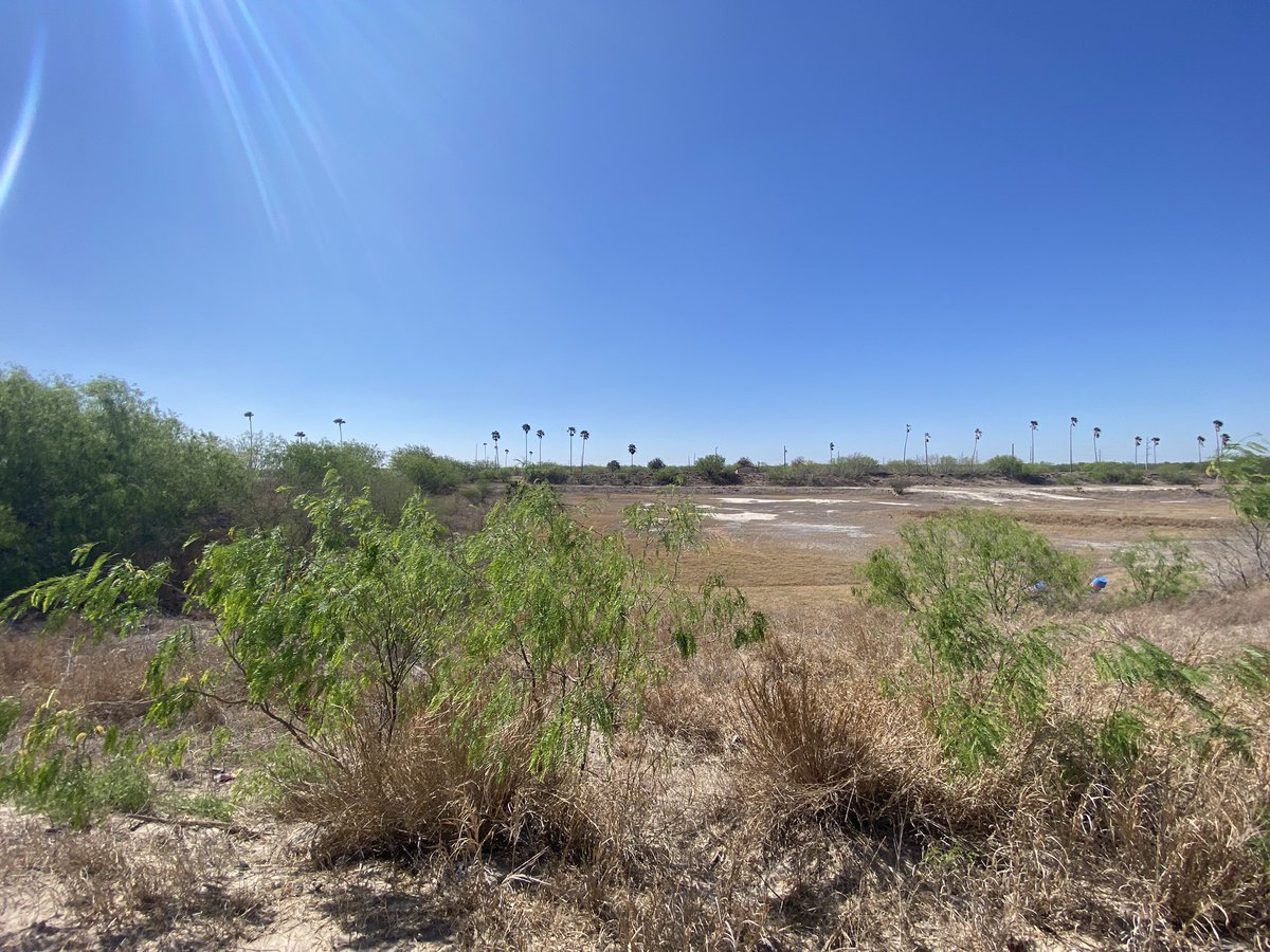 Augustine of the Valley tweet media