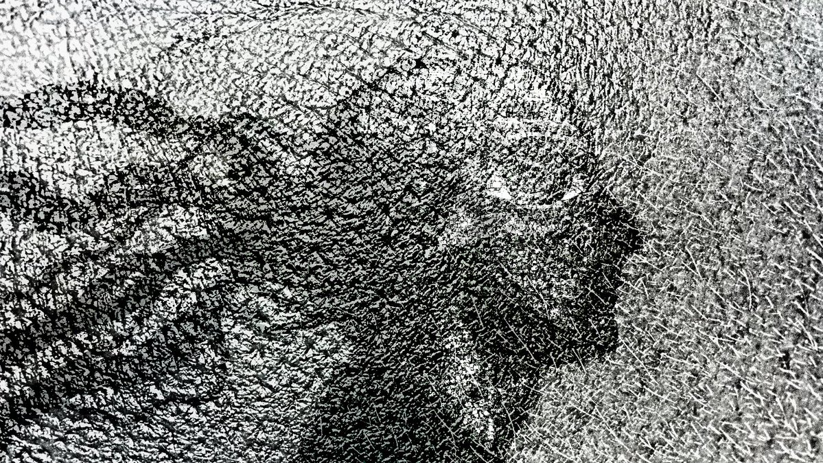 pure wrath of the winged assassin