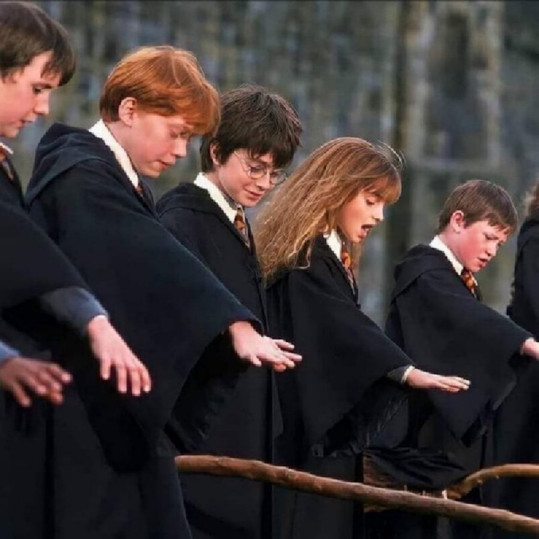 Daily Harry Potter tweet media