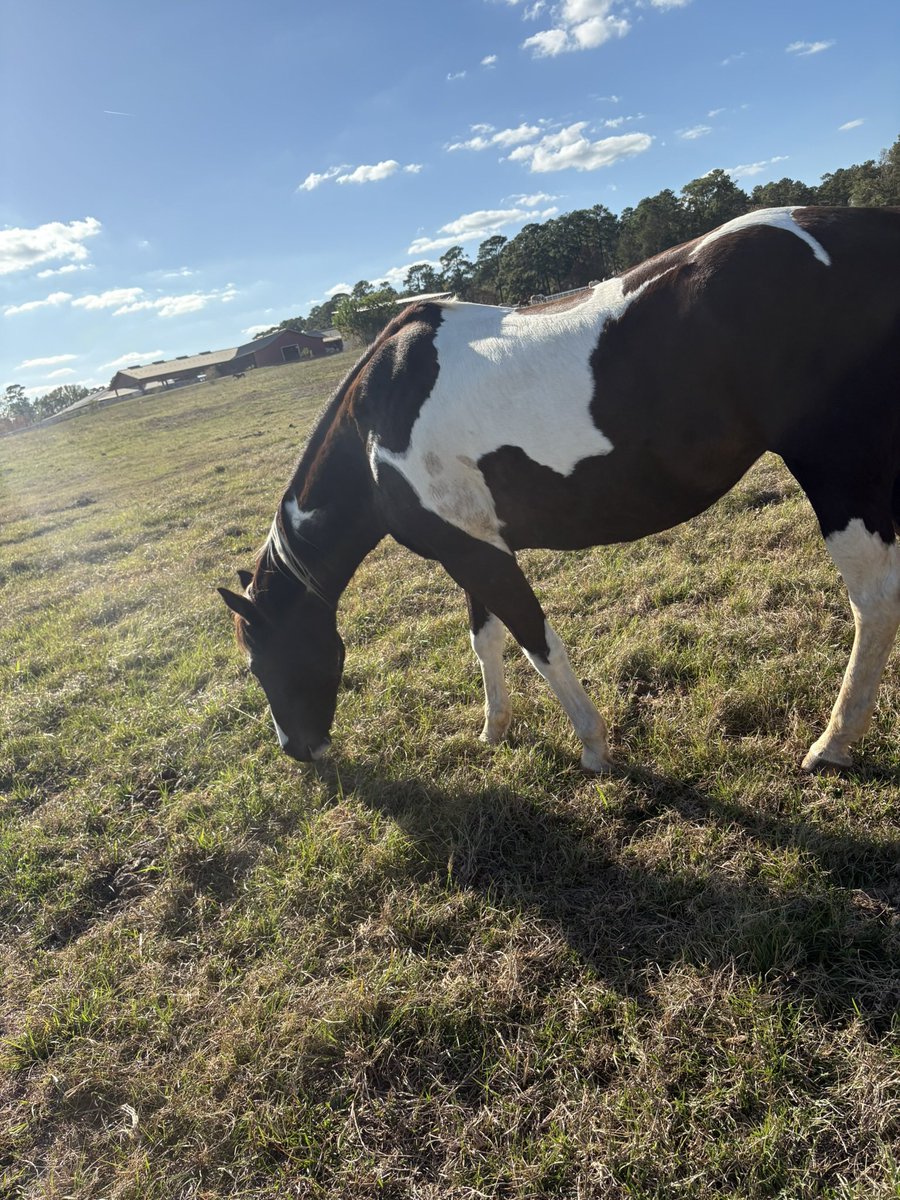 ST4RST4FF tweet media