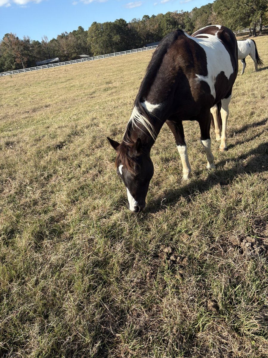 ST4RST4FF tweet media