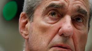 Lovable Liberal and his Old English sheepdog tweet media