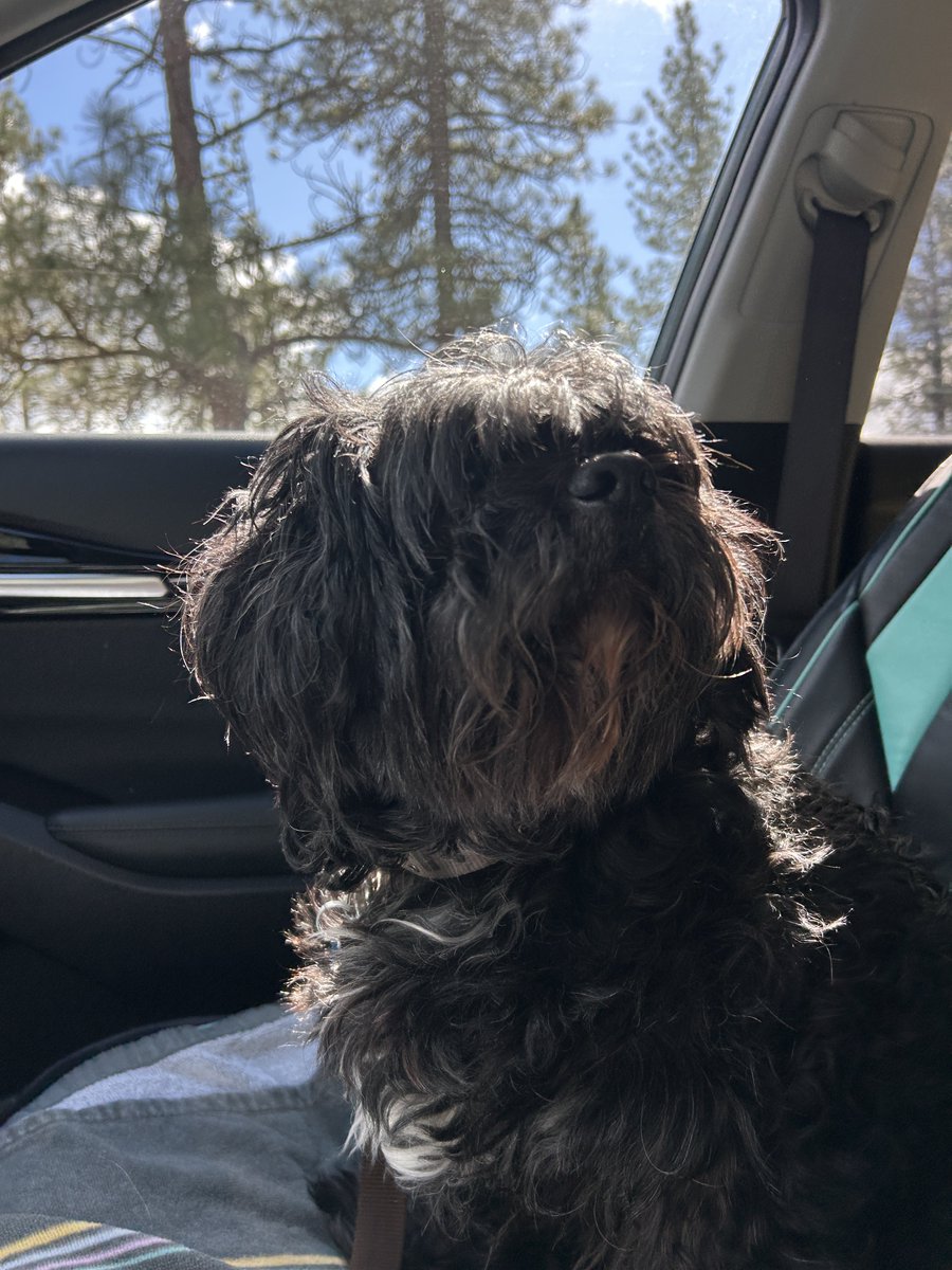 Stacy 😎 tweet media