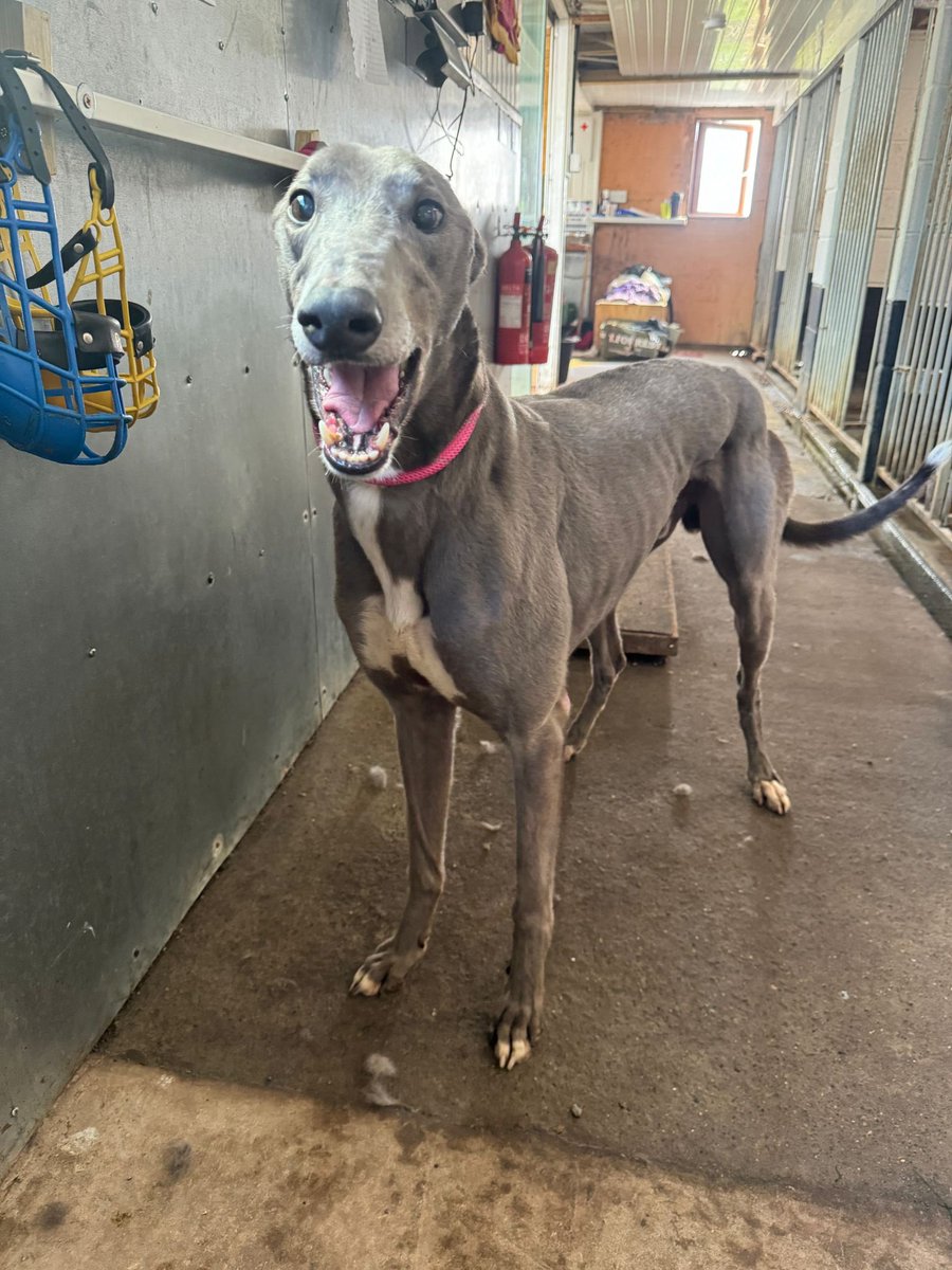 Richie Taberner tweet media