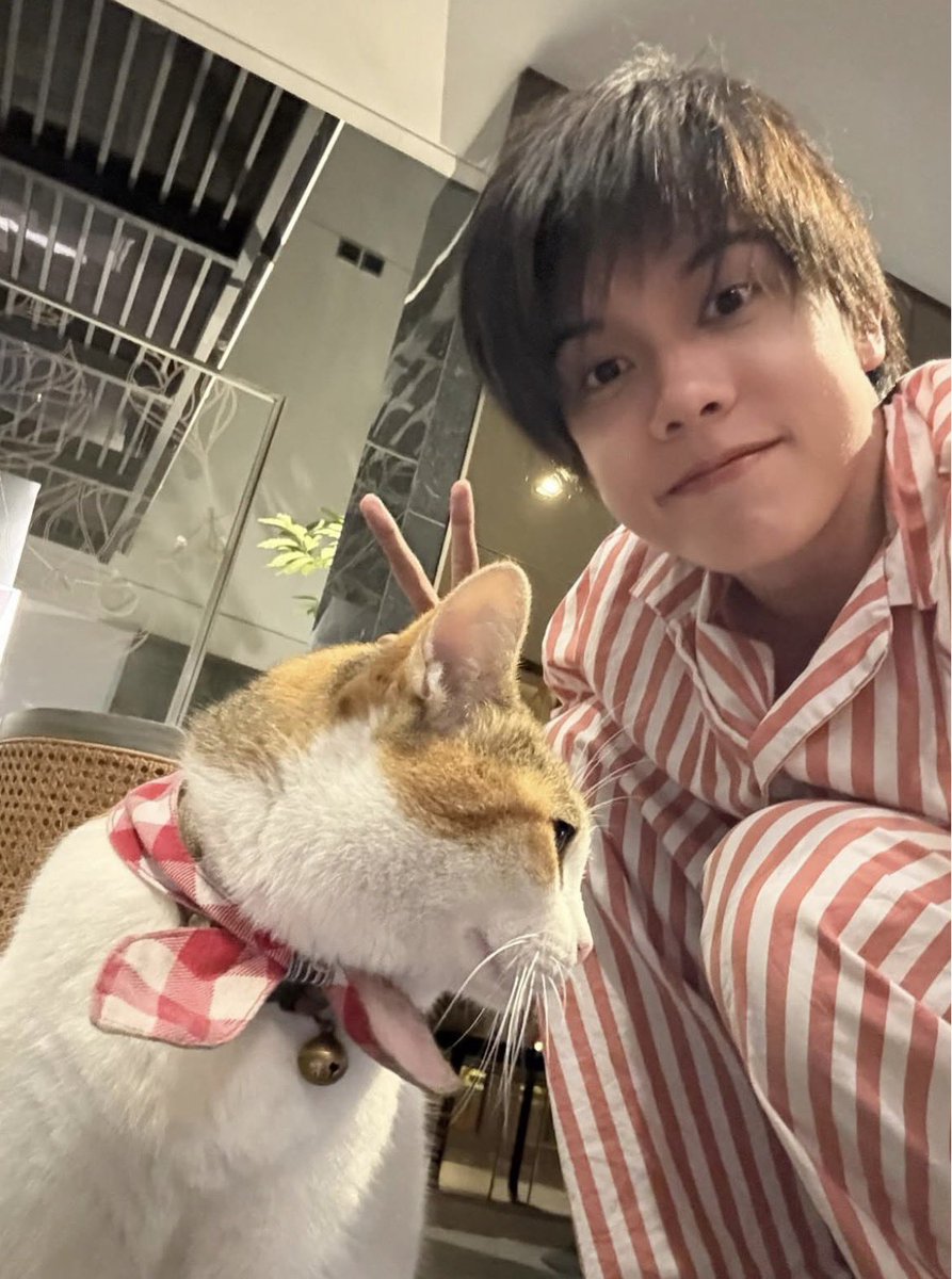 𝐌𝐲𝐥𝐮𝐯𝐥𝐢𝐞𝐬 ˃ᴗ˂ tweet media