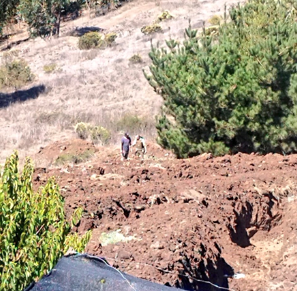 EMERGENCIAS LITORAL tweet media