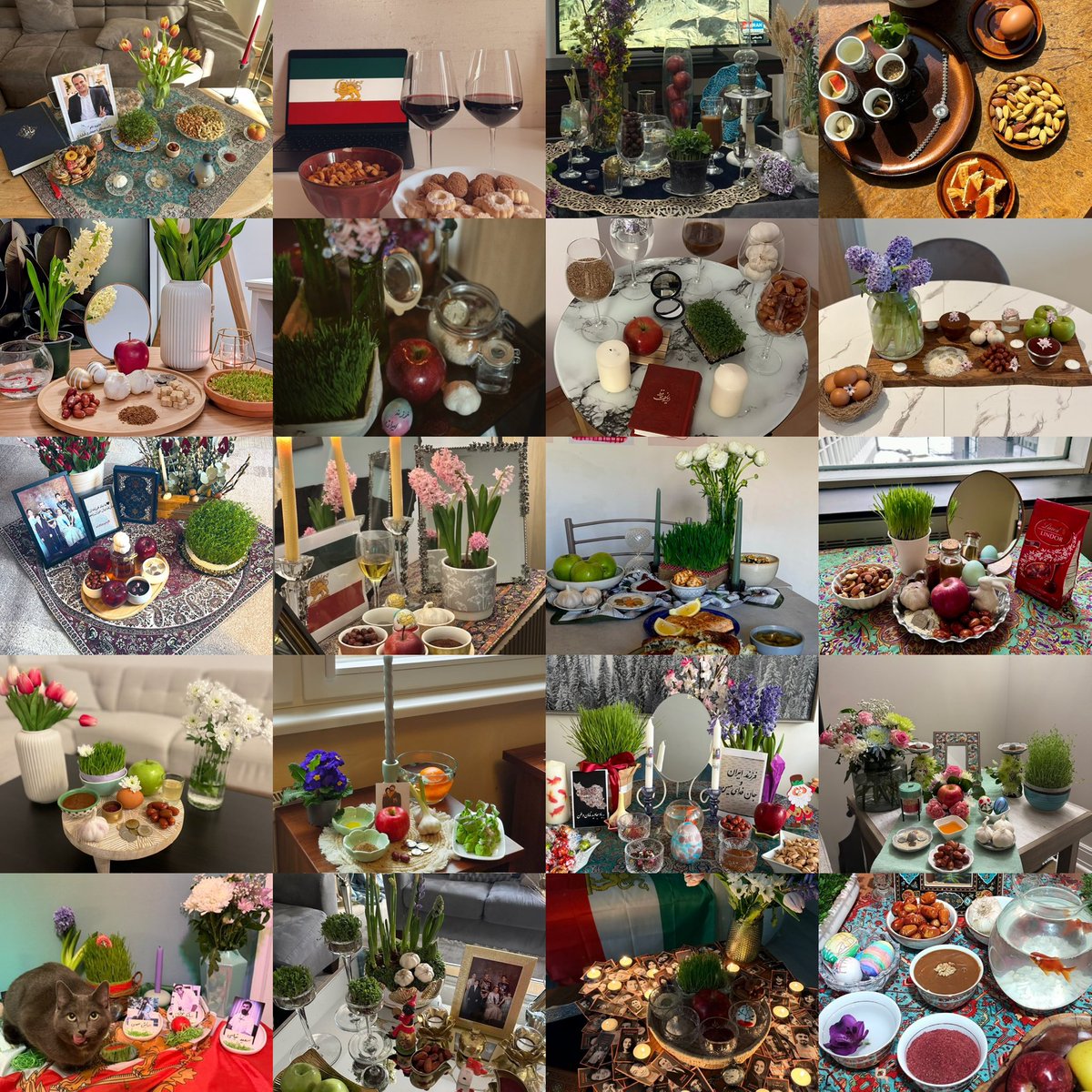 کیم وکسلر tweet media