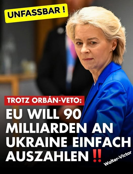 Heimo_aus_Steyr tweet media