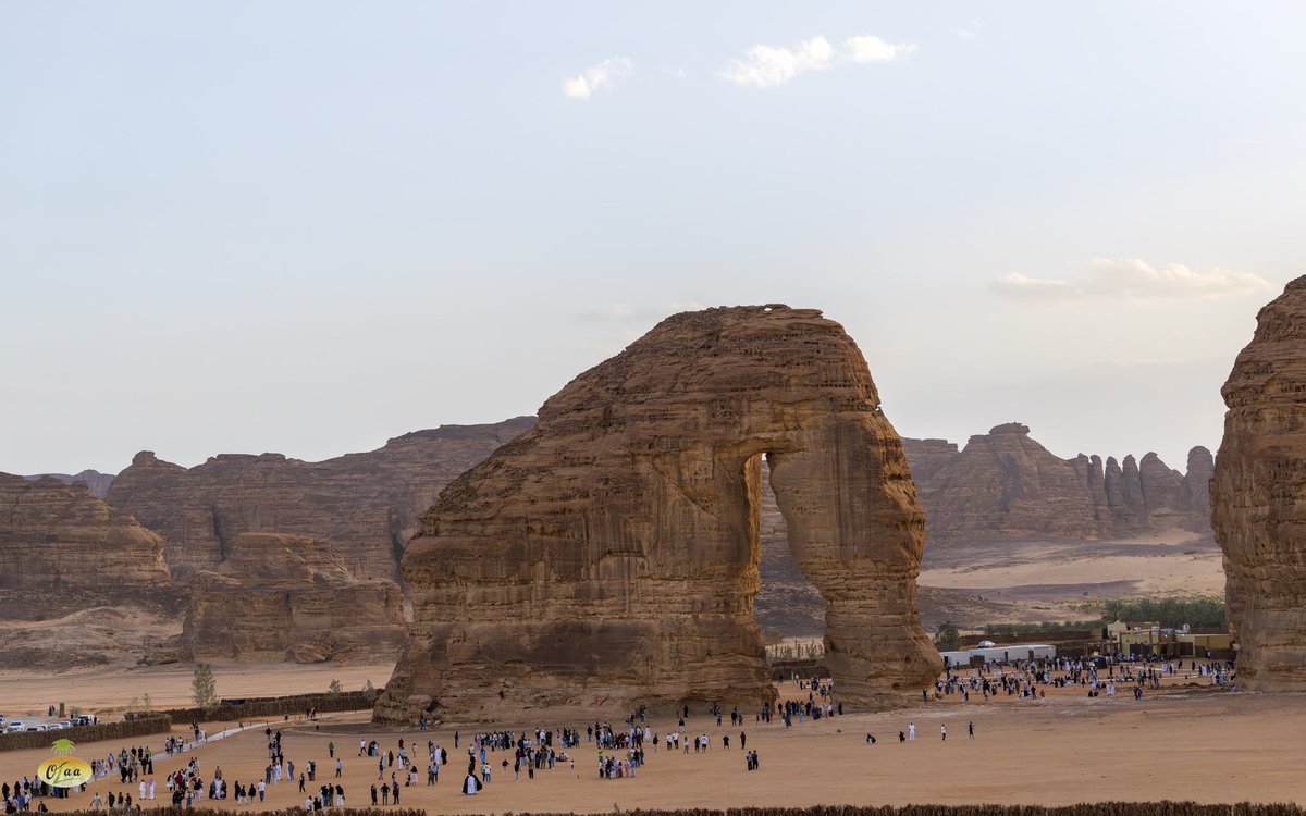 محمد بن أحمد الفريدي tweet media