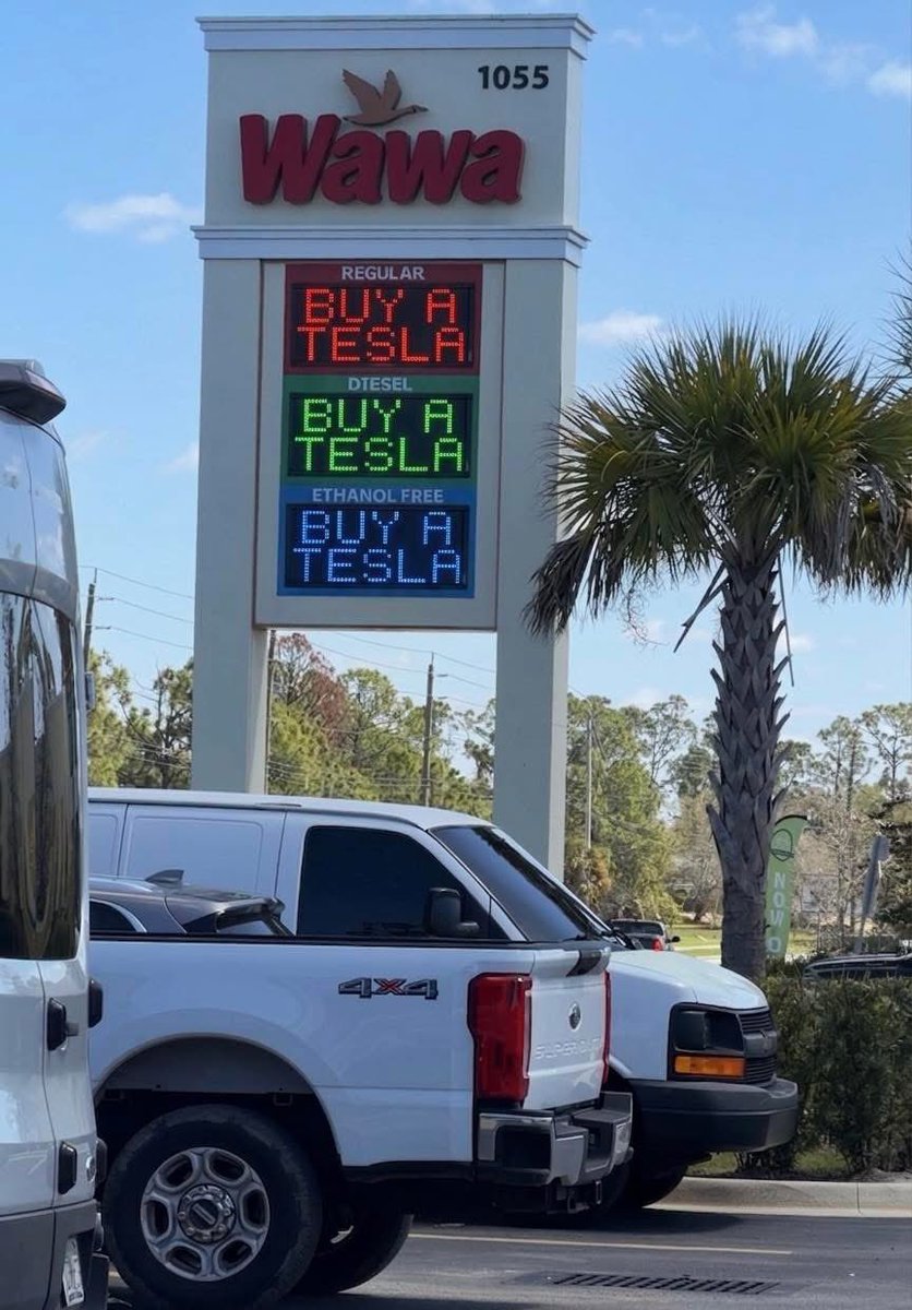 🐦🔥 tweet media