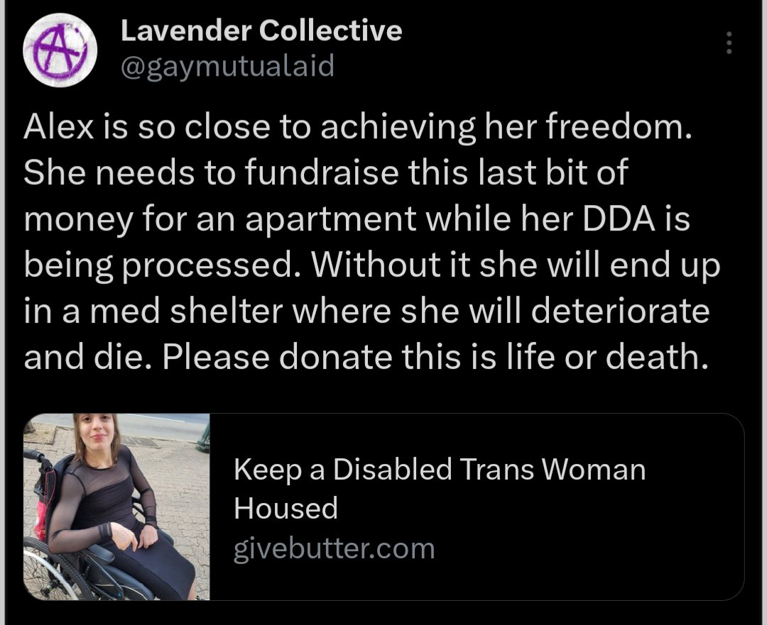 The Anarchist Turtle 🏴Ⓐ🔆 tweet media