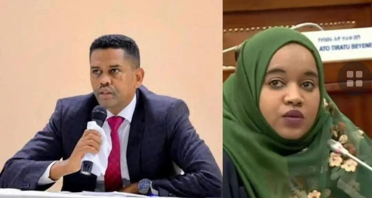 Nebelet Press Gezana tweet media