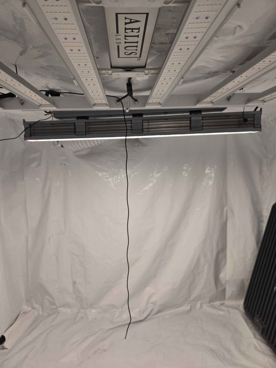 Bohnz_Grows tweet media