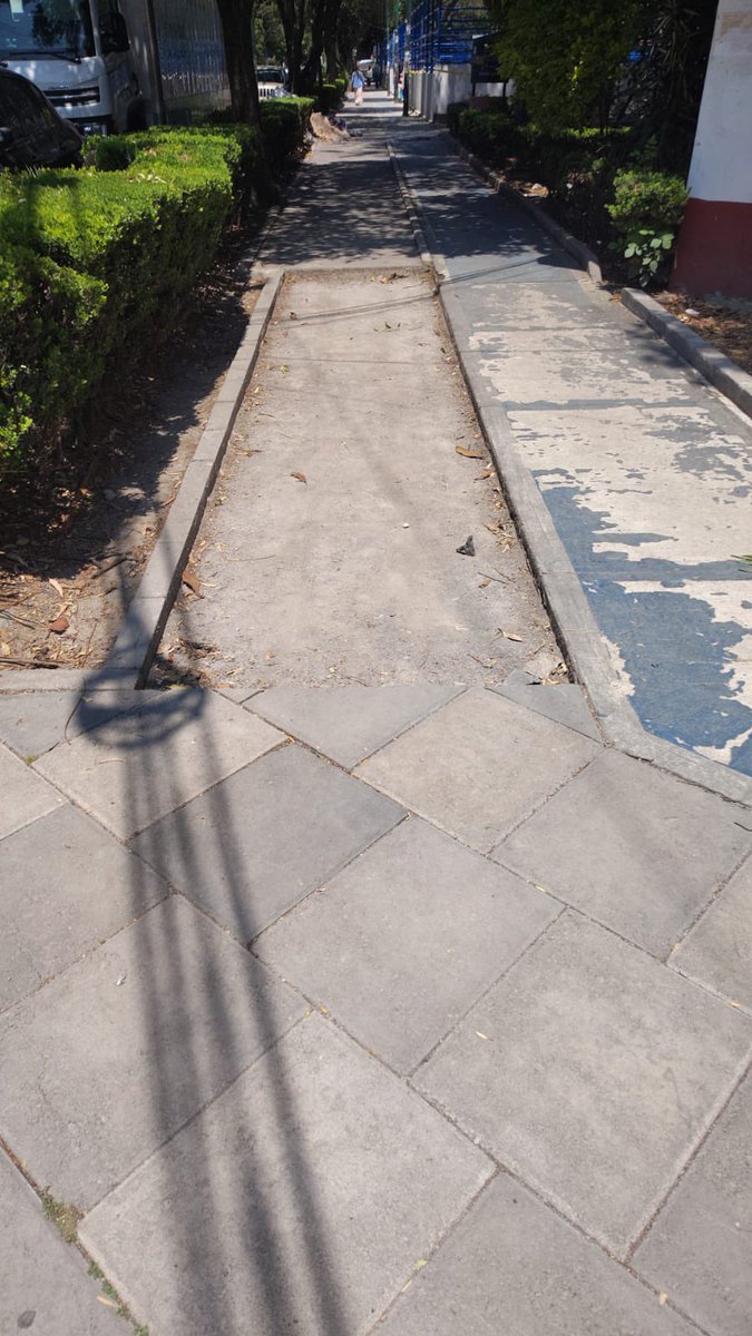 Sof Vélez tweet media