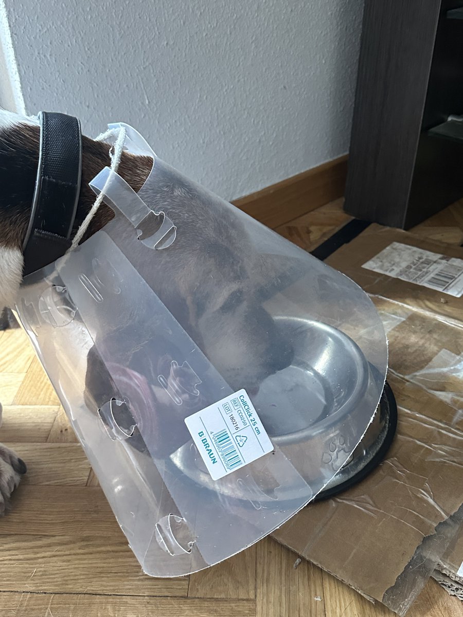 Yukaria princesa favorita de Dios 👑 tweet media