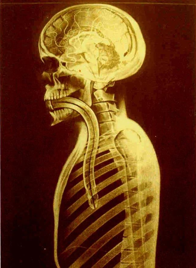 Sci-Fi Archives tweet media