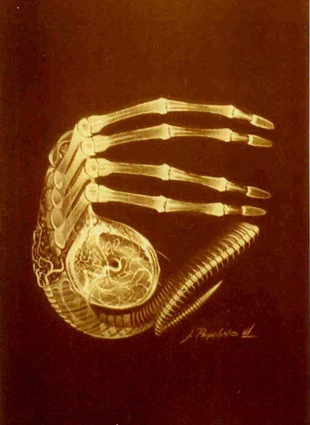 Sci-Fi Archives tweet media