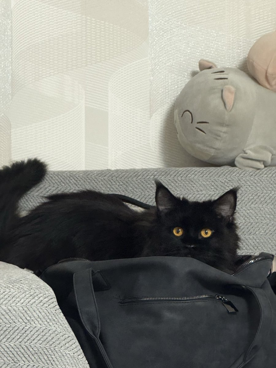 похyou tweet media