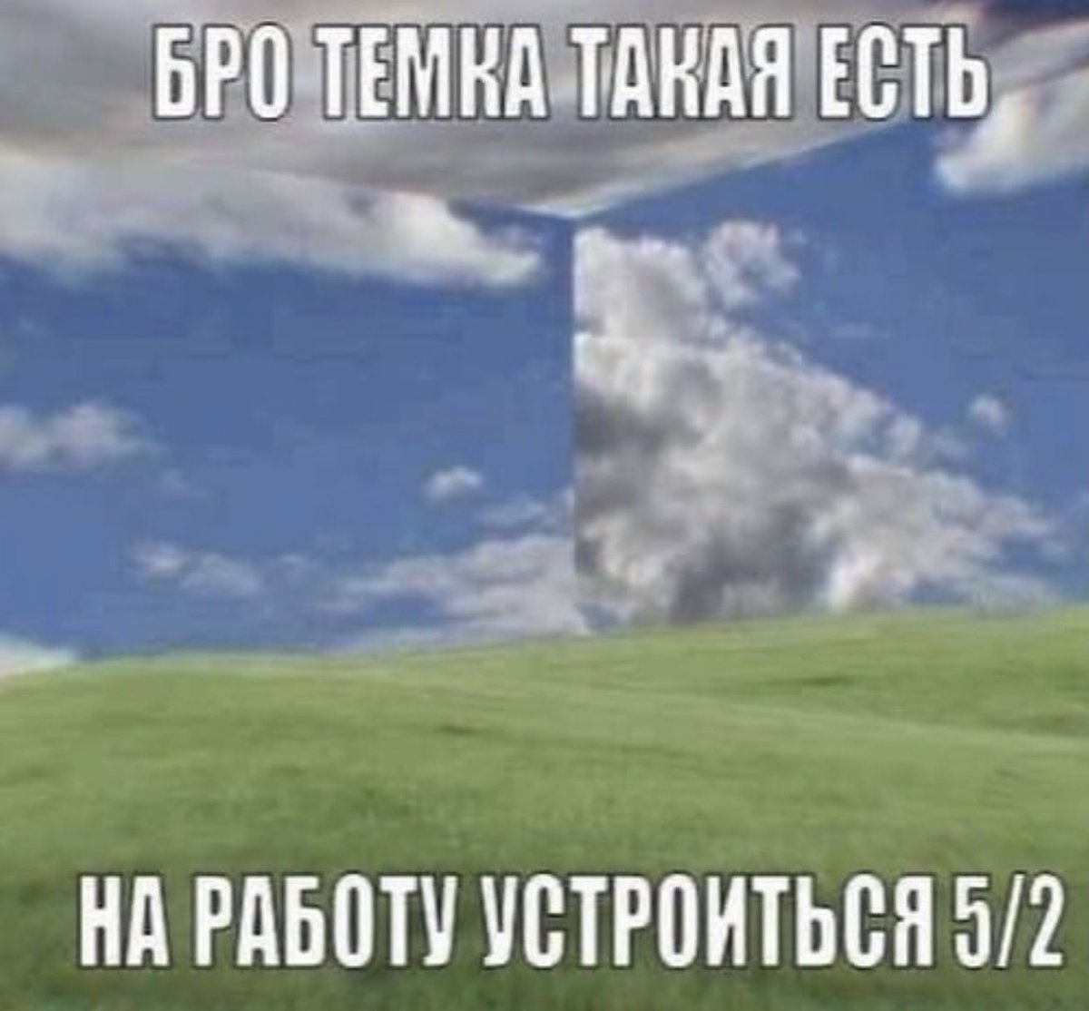 геми🦎 tweet media