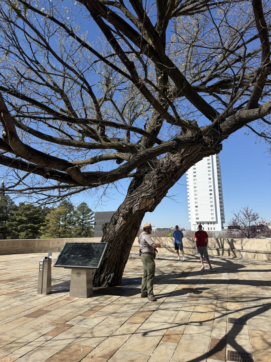 Ana Bellinghausen tweet media