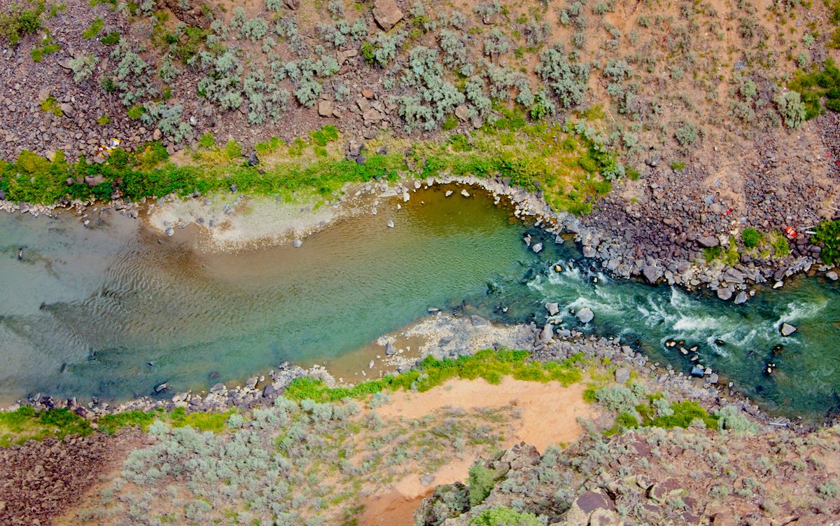 Bob Kinnison tweet media