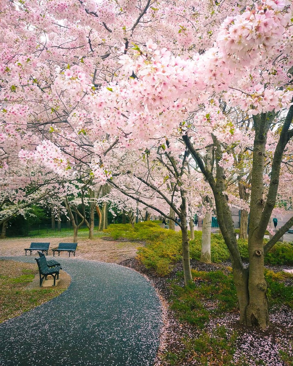 Visit Washington, DC tweet media