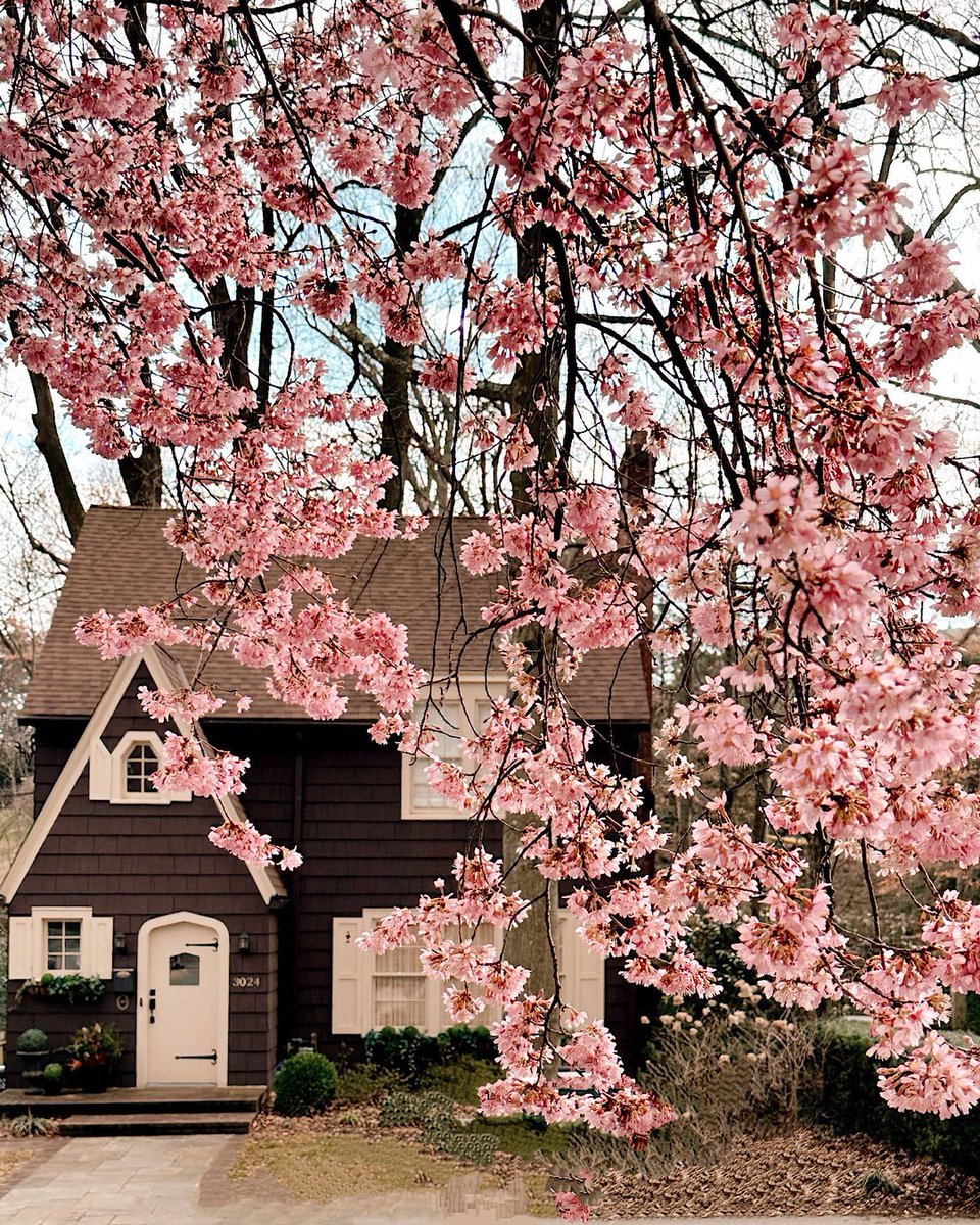 Visit Washington, DC tweet media