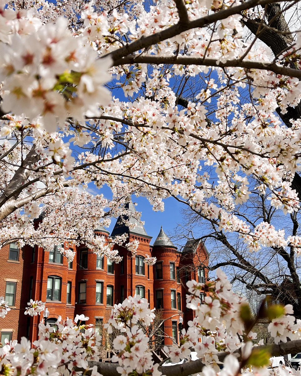 Visit Washington, DC tweet media