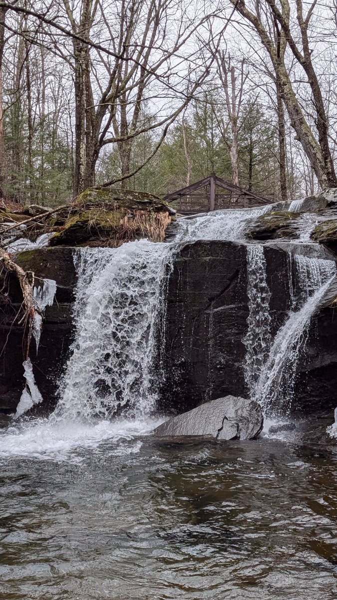 Ryan Finn tweet media