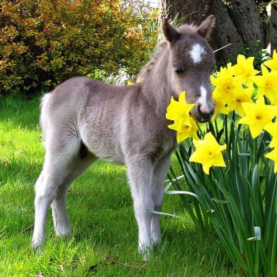 Anne Chovy tweet media