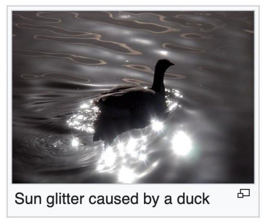 Anne Chovy tweet media