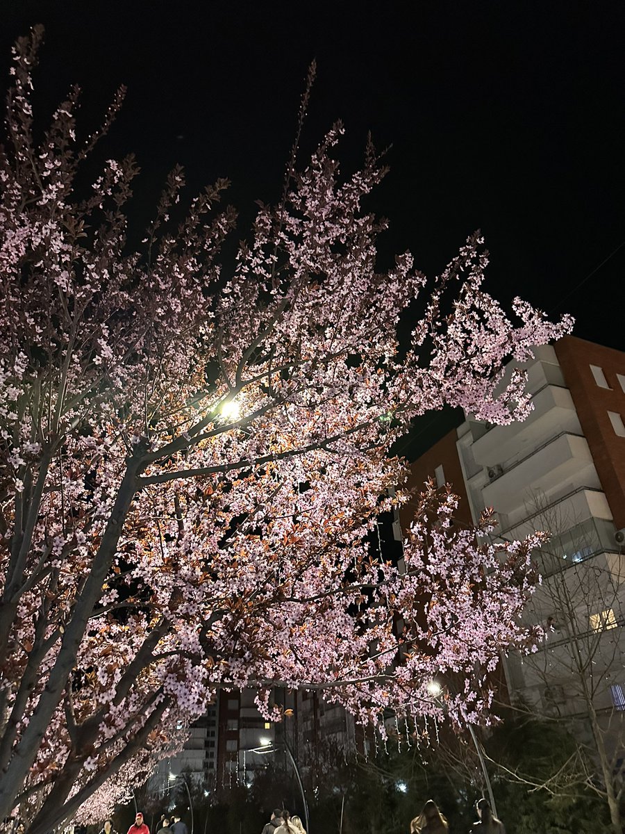 Valtonnn tweet media