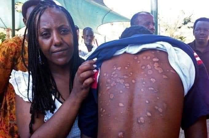 ወዲ ጫዓሎ &ወዲ ሃዳዲም tweet media