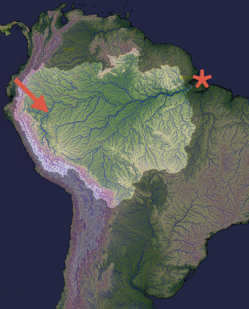 Iain Cameron tweet media