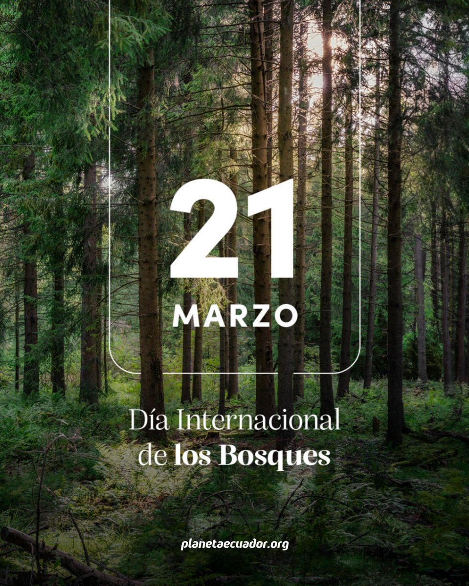 planetaecuador_'s tweet photo. Proteger nuestros bosques va más allá de ser una responsabilidad, es invertir en el futuro de todos.

Cada árbol preservado es un paso hacia un mundo más sostenible.

Cuidar los bosques es cuidar la vida.
#ProtectNature
#PlanetaEcuador 🌿 #EnvironmentalHolding https://t.co/oS5QKGOkwF