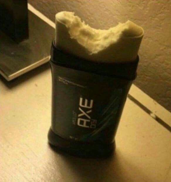 ‘beetle’. —🪲 tweet media