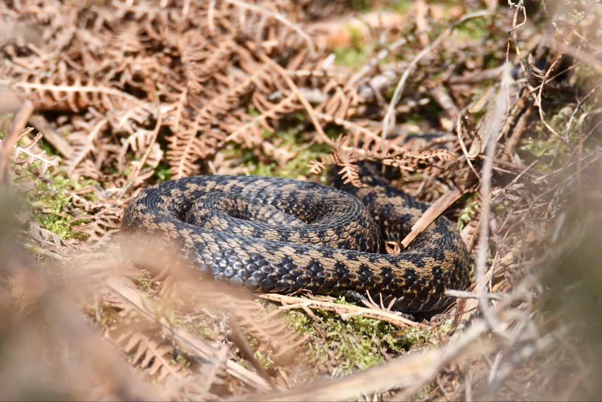 Karen wilkinson tweet media