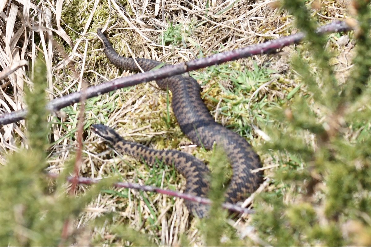 Karen wilkinson tweet media