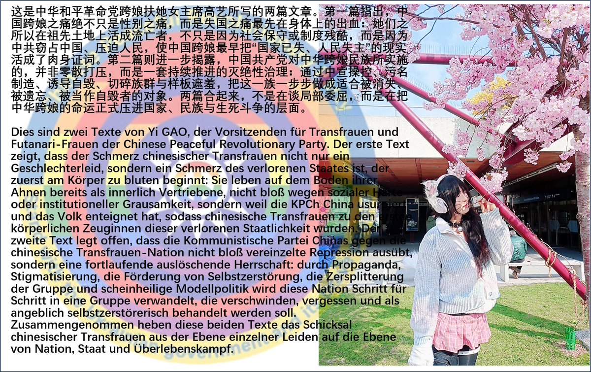 中华和平革命党(CPRP) Chinese Peaceful Revolutionary Party tweet media