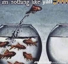 𖤐⭒๋࣭ ⭑Duskerfml⋆🐾 tweet media