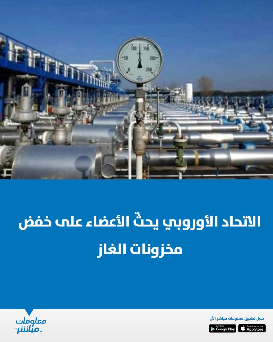 معلومات مباشر tweet media