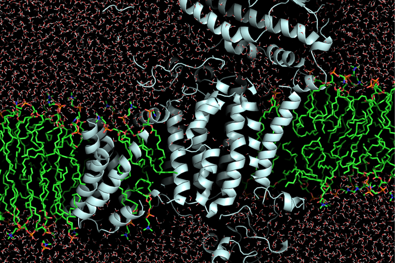 Guilherme M. Arantes tweet media