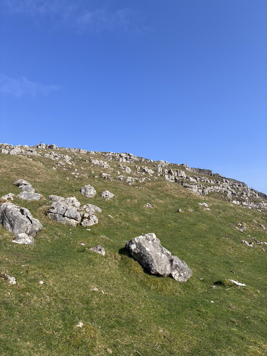 Andrea Colley tweet media