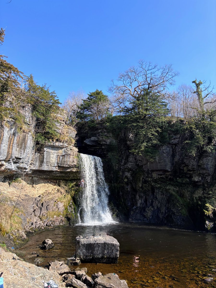 Andrea Colley tweet media