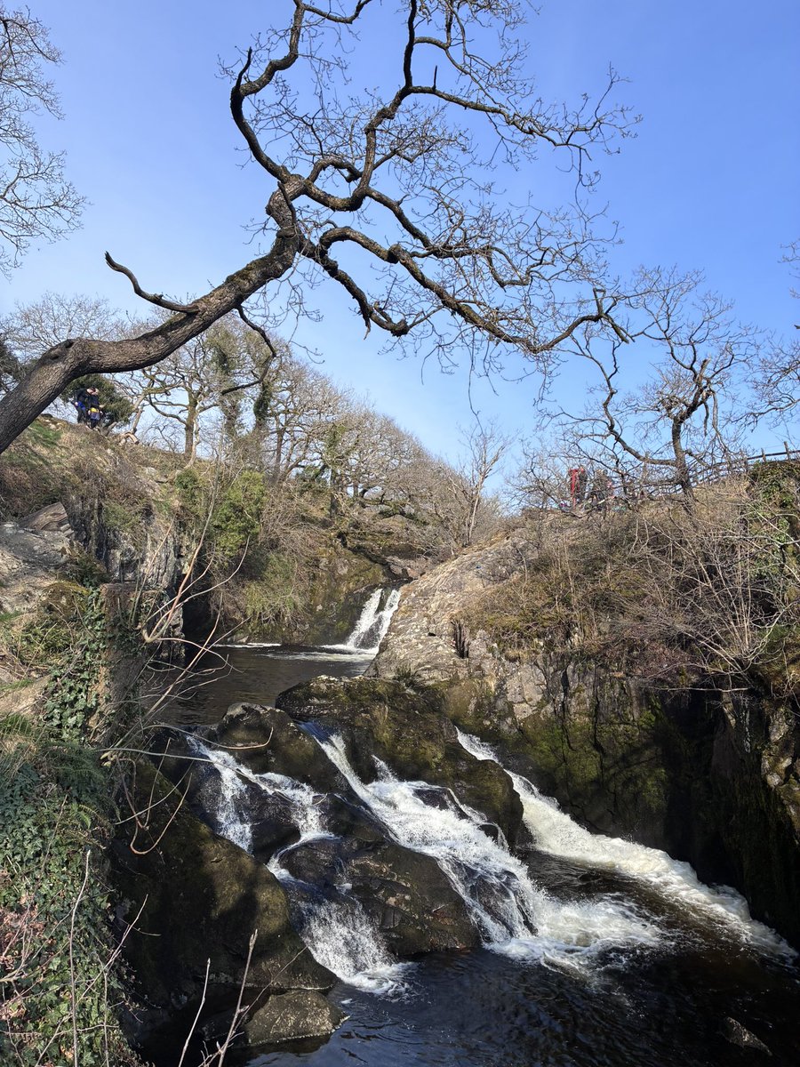 Andrea Colley tweet media