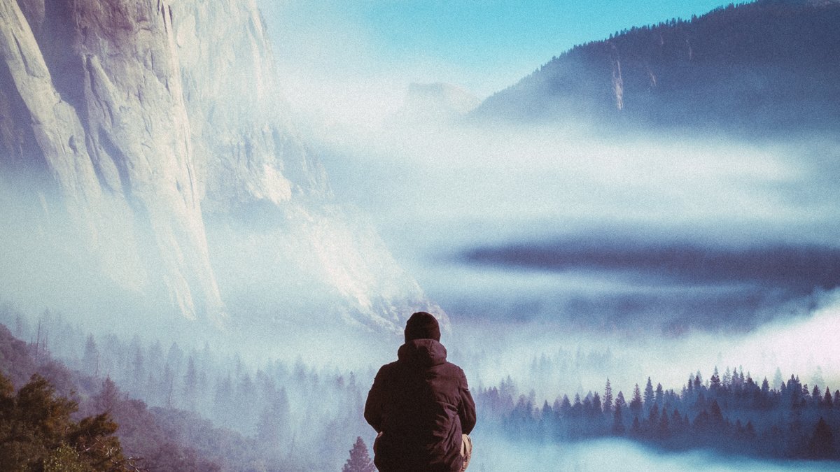 Jeff Mihaly tweet media