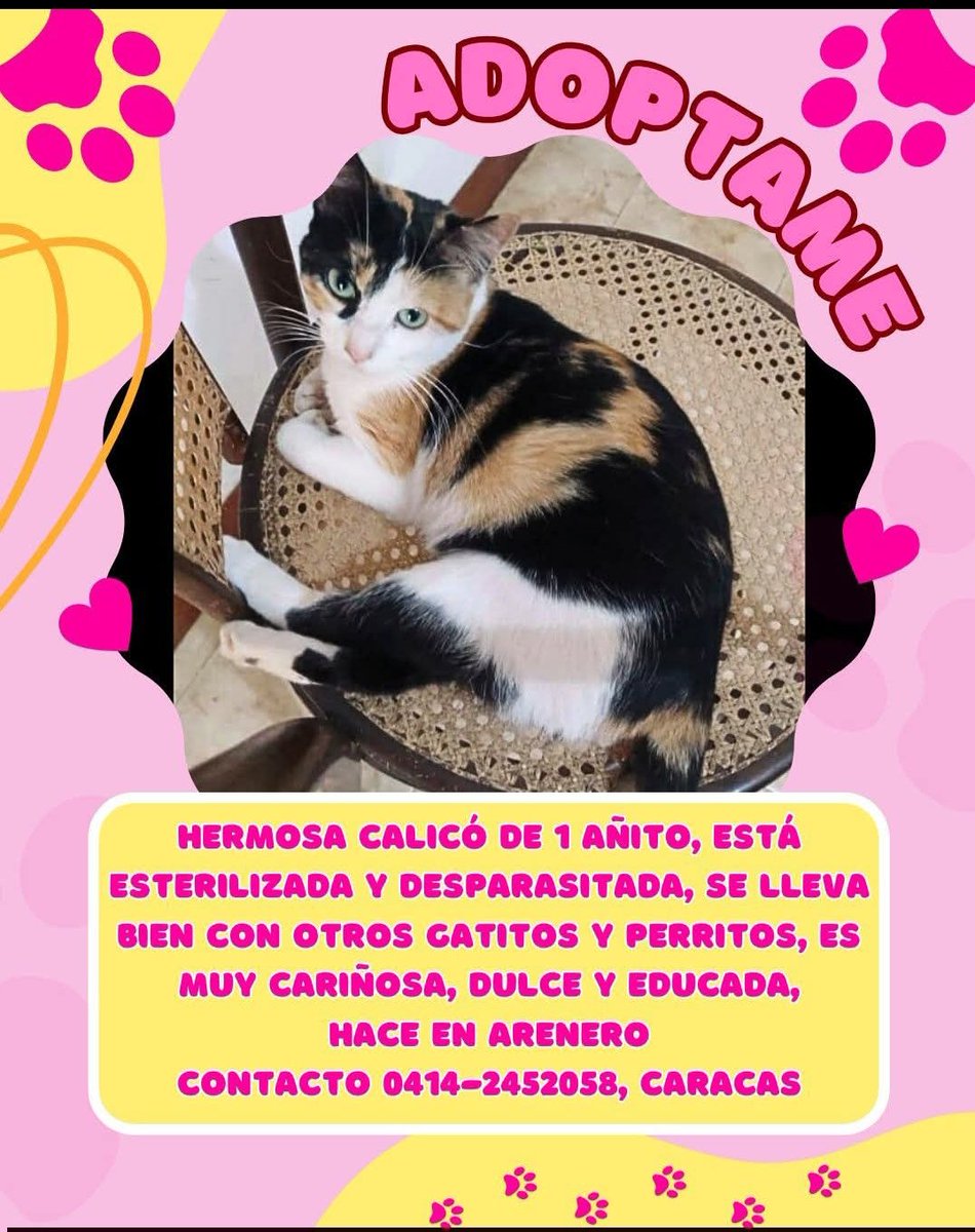 Palo Verde Alerta tweet media